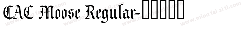 CAC Moose Regular字体转换